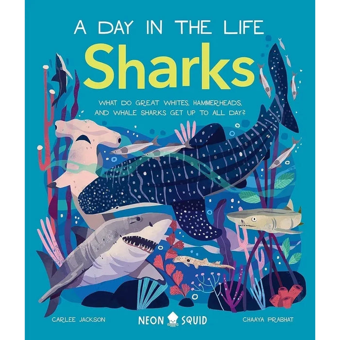 A Day in the Life Series 8 Books Collection Set (Bugs, Big Cats, Sharks, Horses, Birds, Frogs, Bears, Snakes) - The Book Bundle