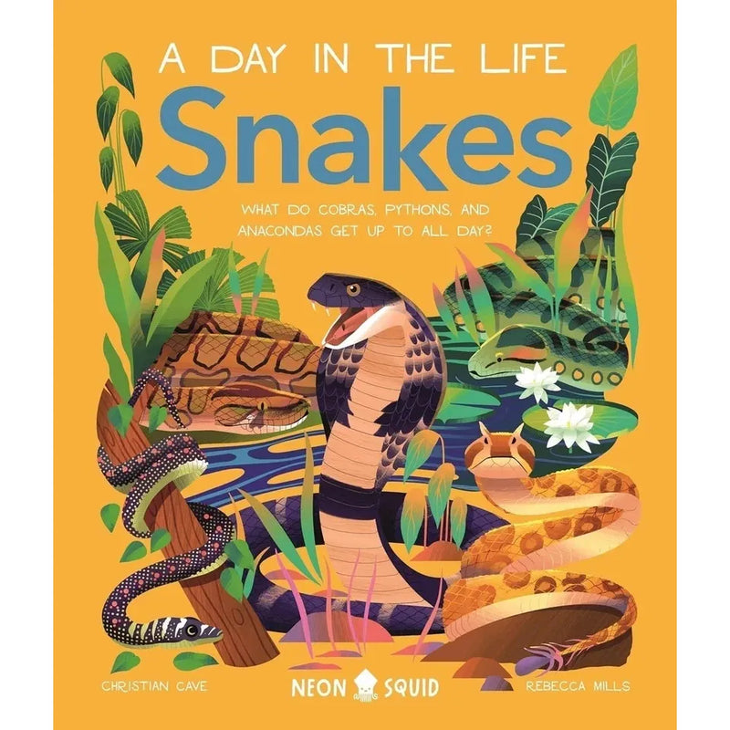 A Day in the Life Series 8 Books Collection Set (Bugs, Big Cats, Sharks, Horses, Birds, Frogs, Bears, Snakes) - The Book Bundle