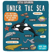 Little Explorers Series 7 Books Collection Set (Food, Weather, Science, Maths, Under the Sea, My Amazing Body and When I Grow Up) - The Book Bundle