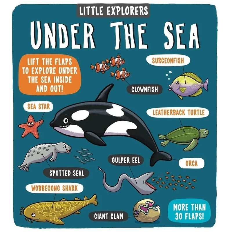 Little Explorers Series 7 Books Collection Set (Food, Weather, Science, Maths, Under the Sea, My Amazing Body and When I Grow Up) - The Book Bundle