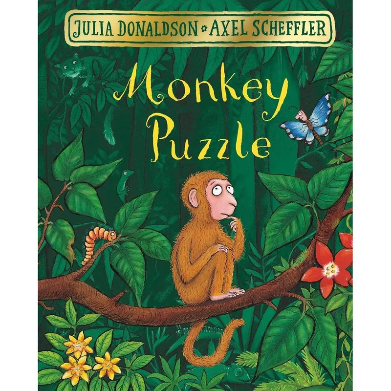 Julia Donaldson Collection 4 Books Set (Room on the Broom, The Gruffalo, The Gruffalo's Child and Monkey Puzzle) - The Book Bundle