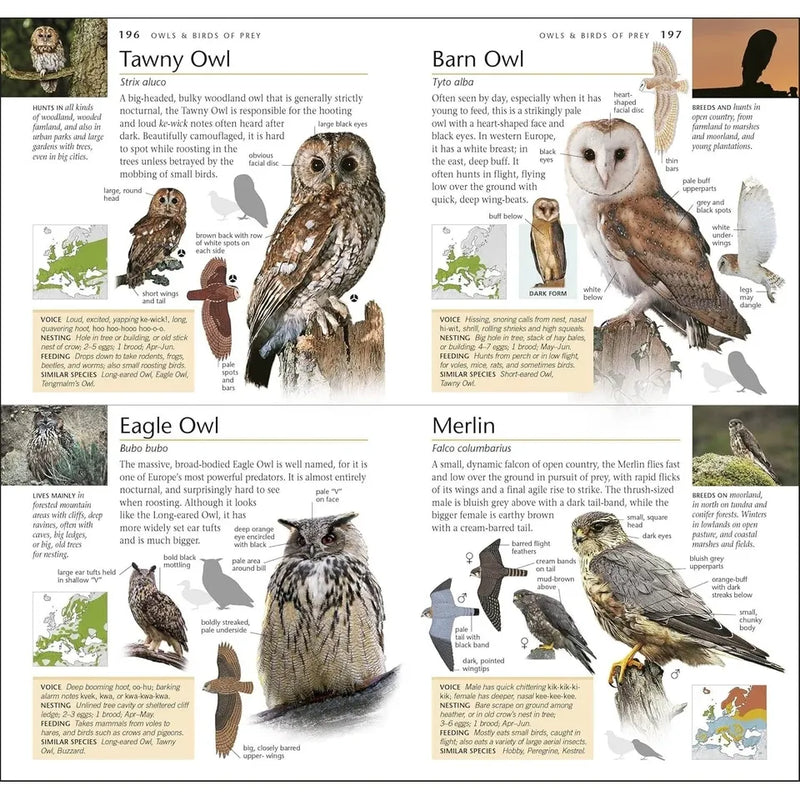 RSPB Pocket Birds of Britain and Europe 5th Edition by RSPB - Non Fiction - Field Guide Book