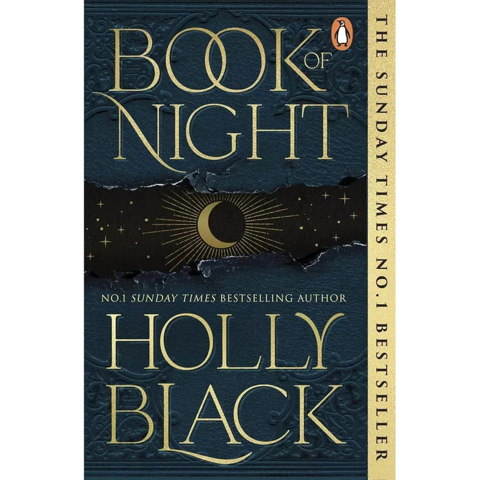 Holly Black Collection 2 Books Set (Darkest Part of the Forest, Book of Night) - The Book Bundle