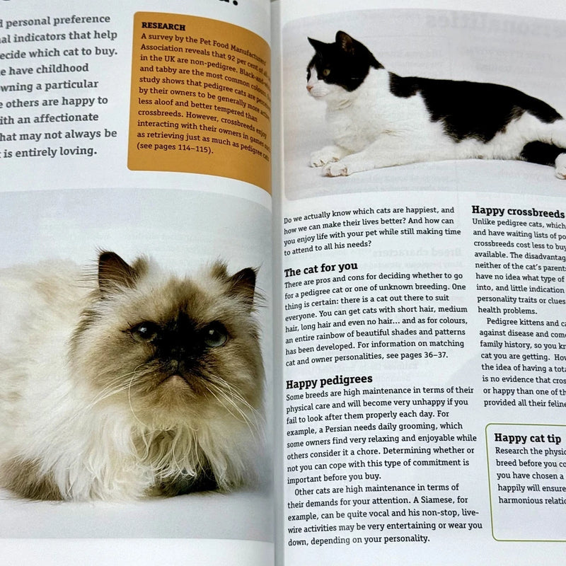 How To Have A Happy Cat by Andrea McHugh - Non Fiction - Paperback