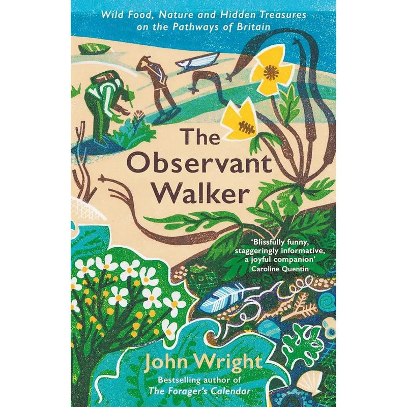 John Wright Collection 3 Books Set (Country Matters Meg Clothier,Observant Walker) - The Book Bundle