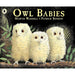 Martin Waddell Collection 4 Books Set Owl Babies, Farmer Duck, Once There Were - The Book Bundle