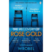 Stephanie Wrobel 3 Books Collection Set (Hitchcock Hotel, Recovery of Rose Gold) - The Book Bundle