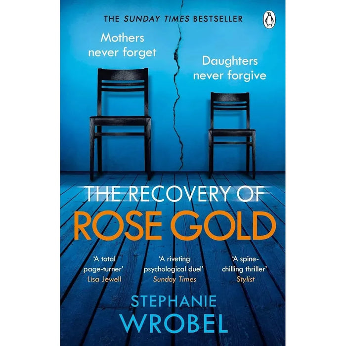 Stephanie Wrobel 3 Books Collection Set (Hitchcock Hotel, Recovery of Rose Gold) - The Book Bundle