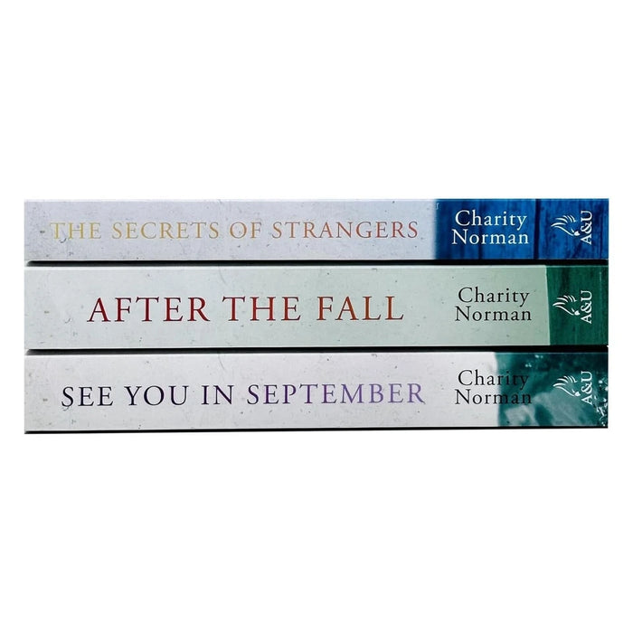 Charity Norman 3 Books Collection Set (See You in September, After the Fall,  Secrets of Strangers) - The Book Bundle