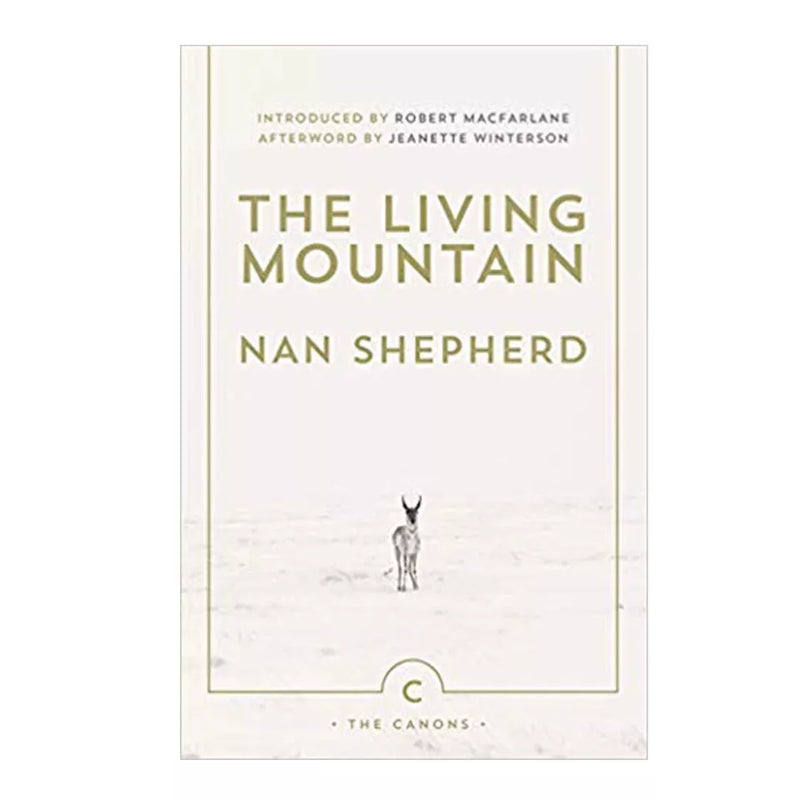 Nan Shepherd Collection 3 Books Set (The Quarry Wood,Weatherhouse,Mountain) - The Book Bundle