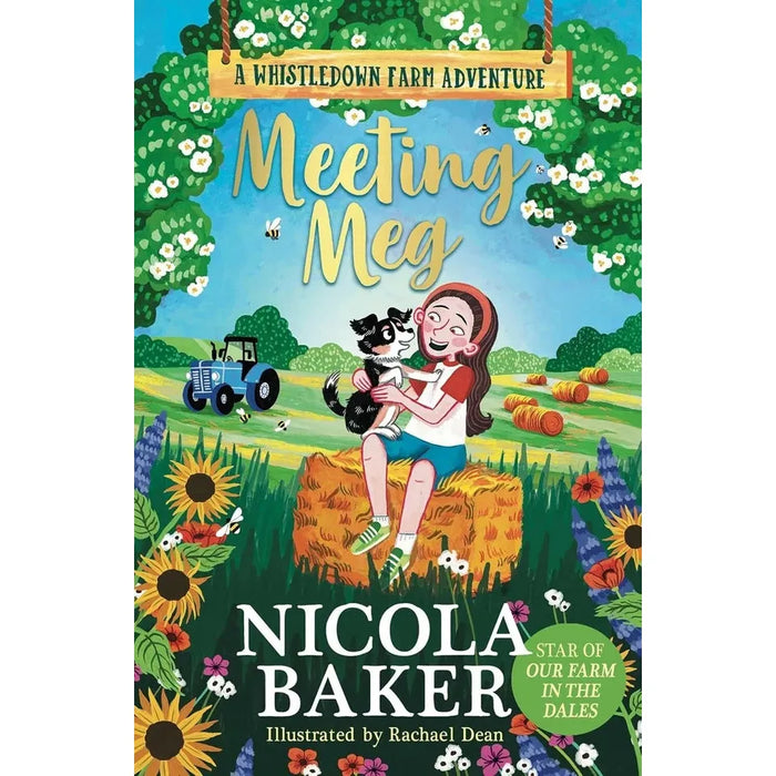 Whistledown Farm Adventure Series 3 Books Collection Set By Nicola Baker (Finding Hope, Rescuing Ruby and Meeting Meg) - The Book Bundle