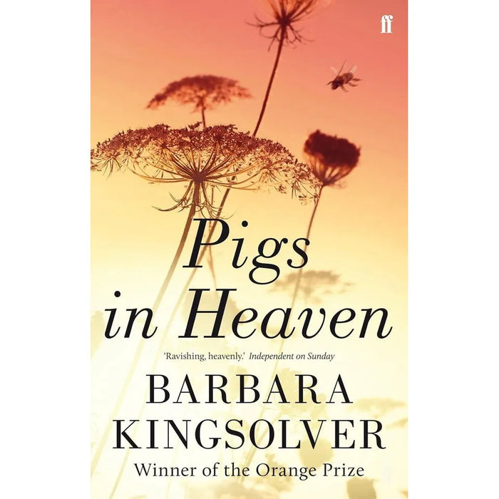 Barbara Kingsolver 3 Books Collection Set (Animal Dreams, The Bean Trees, Pigs in Heaven) - The Book Bundle