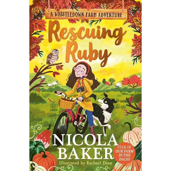 Whistledown Farm Adventure Series 3 Books Collection Set By Nicola Baker (Finding Hope, Rescuing Ruby and Meeting Meg) - The Book Bundle