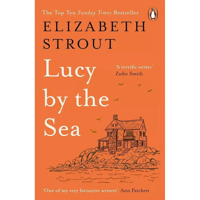 Elizabeth Strout Collection 5 Books Set Oh William, Anything is Possible,Lucy by - The Book Bundle