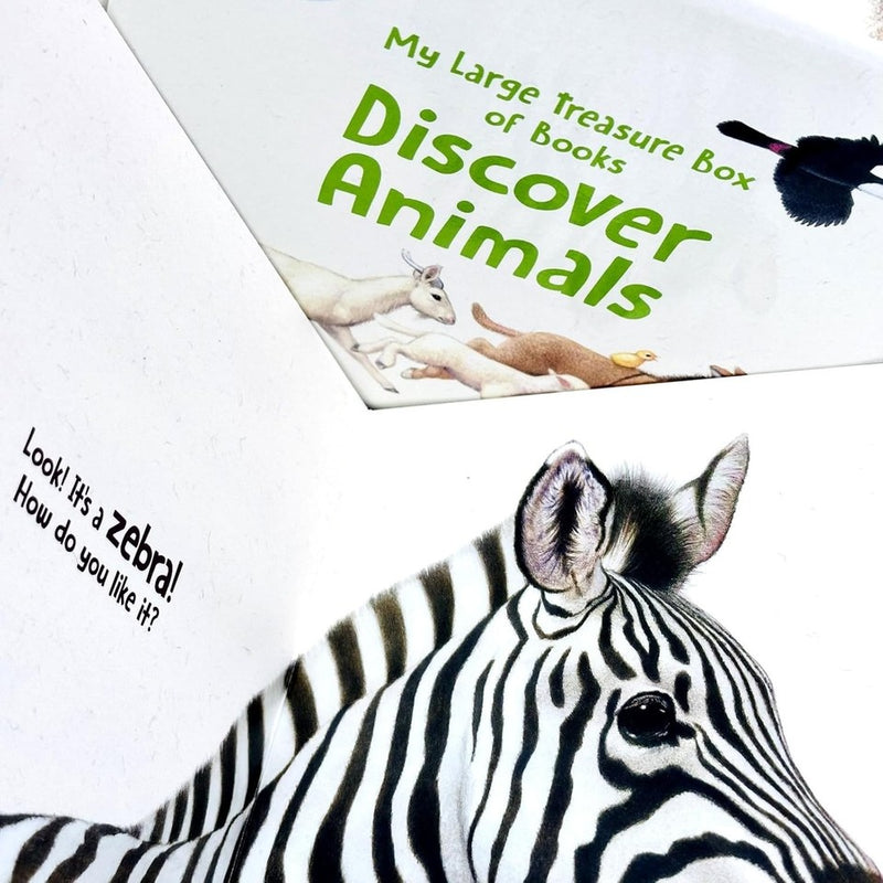 Large treasure box of books by Regina Schwarz featuring 8 animal discovery books in a colorful collection set from Kosmos Books Ltd.