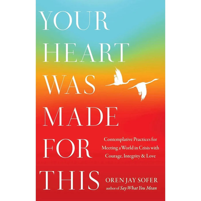 Oren Jay Sofer Collection 2 Books Set Your Heart Was Made This,Say What You Mean - The Book Bundle