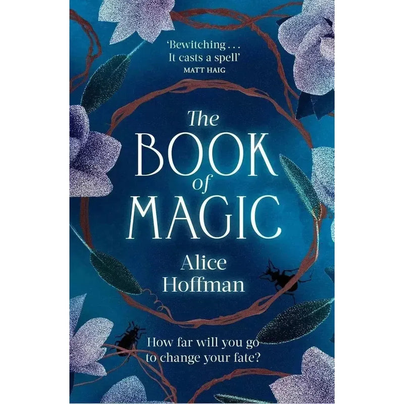 Four paperback books from Alice Hoffman's Practical Magic series collection by Simon & Schuster, featuring colorful cover art.