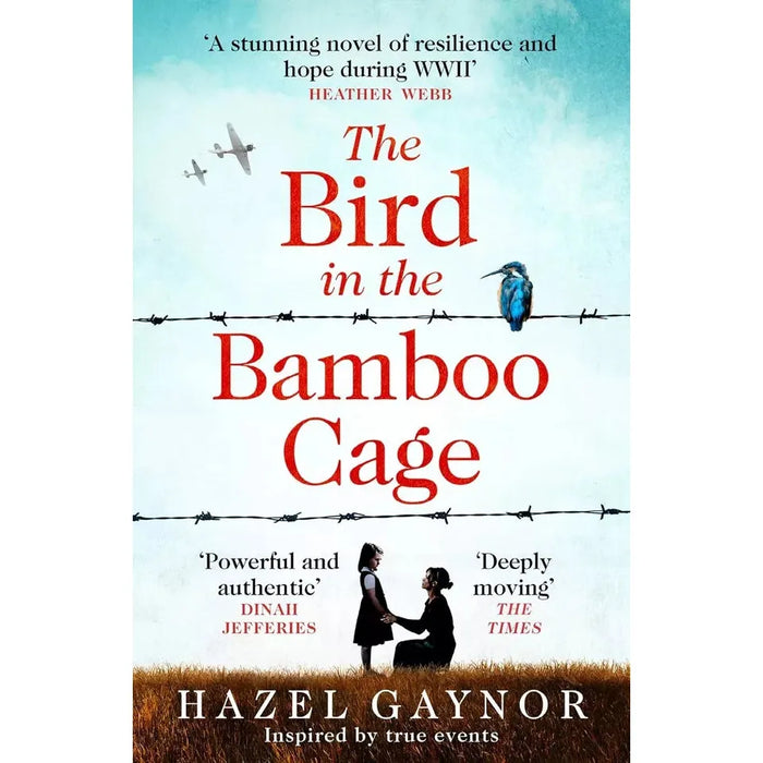 Hazel Gaynor Collection 4 Books Set Bird in Bamboo Cage,Christmas with Queen - The Book Bundle