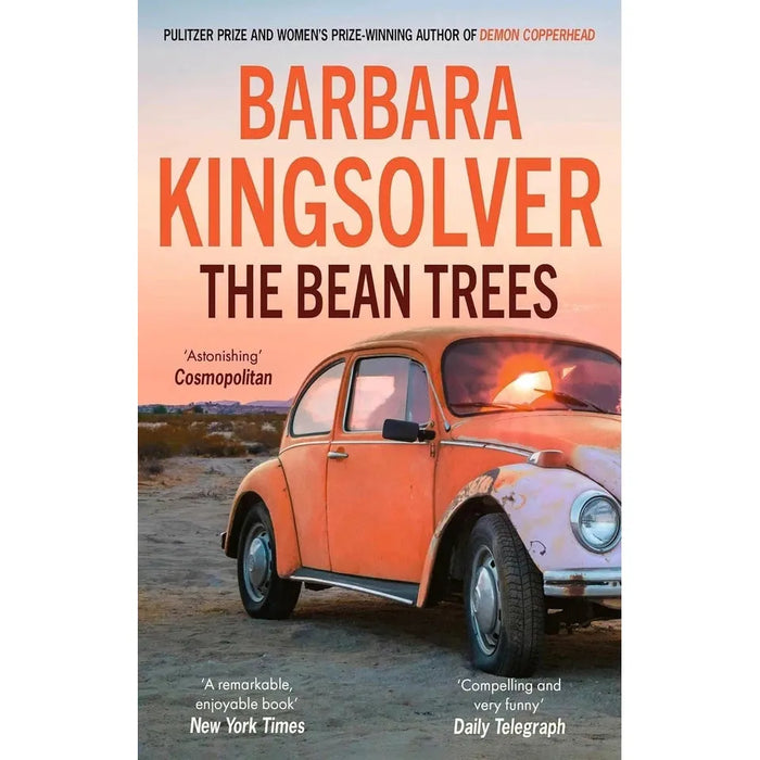 Barbara Kingsolver 3 Books Collection Set (Animal Dreams, The Bean Trees, Pigs in Heaven) - The Book Bundle