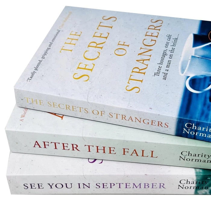 Charity Norman 3 Books Collection Set (See You in September, After the Fall,  Secrets of Strangers) - The Book Bundle
