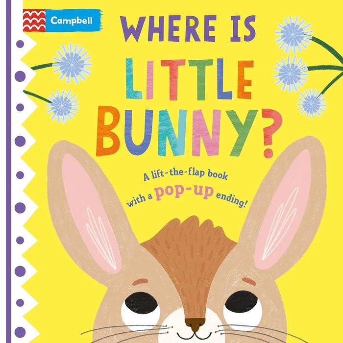 Where is Little... Series 4 Books Collection Set By Campbell Books (Where is Little Elephant?, Where is Little Tiger? & More)
