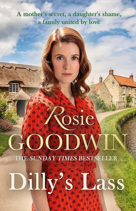 Dilly's Story Series 3 Books Family Sagas Collection Set by Rosie Goodwin (Sacrifice, Lass & Hope)