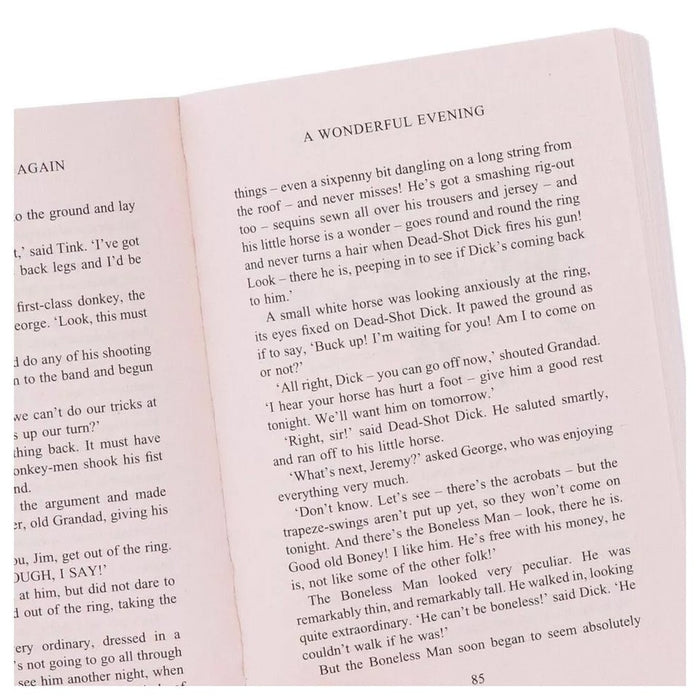 The Famous Five series 21 Books Collection Set by Enid Blyton (Age 7-9) Treasure Island, Kirrin Island Again - The Book Bundle