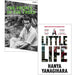 The People in the Trees & A Little Life By Hanya Yanagihara 2 Books Collection Set - The Book Bundle