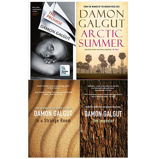 THE PROMISE Series By Damon Galgut 4 Books Set (Promise, Arctic Summer, In a Strange Room, The Impostor) - The Book Bundle