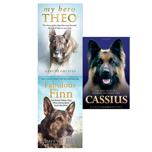 Cassius, the True Story,My Hero Theo,Fabulous Finn 3 Books Collection Set NEW - The Book Bundle