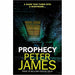Peter James 6 Books Collection Set(Possession,Twilight,Dreamer,Prophecy,Faith,Denial) - The Book Bundle