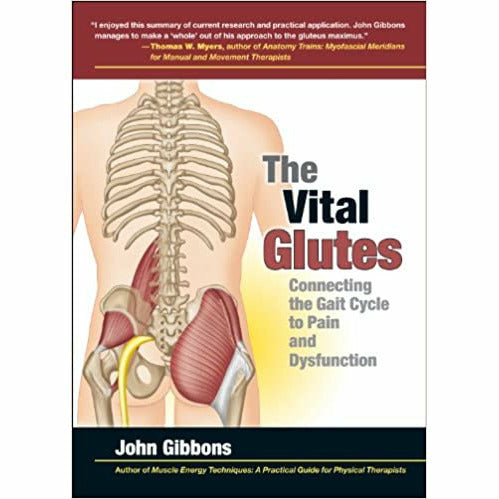 The Vital Series 4 Books Collection Set John Gibbons (Glutes, Nerves, Shoulder, Psoas Muscle) - The Book Bundle