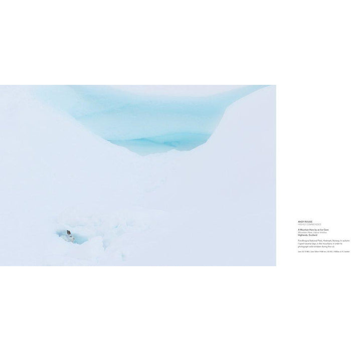 British Wildlife Photography Awards 8 - The Book Bundle