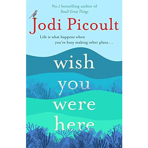 Jodi Picoult Collection 3 Books Set (Mad Honey, The Book of Two Ways, Wish You Were Here) - The Book Bundle