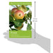 Fruit (River Cottage Handbook No. 9) - The Book Bundle