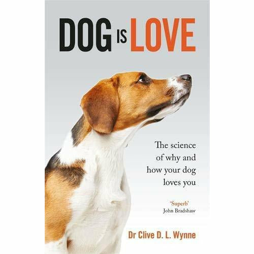 Michelle Clark 6 Books Collection Set (Gabby,Without Hope,Poppy,Dog is LoveWill You Take Me Home?) - The Book Bundle