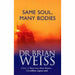 Dr. Brian Weiss 3 Books Collection Set - The Book Bundle