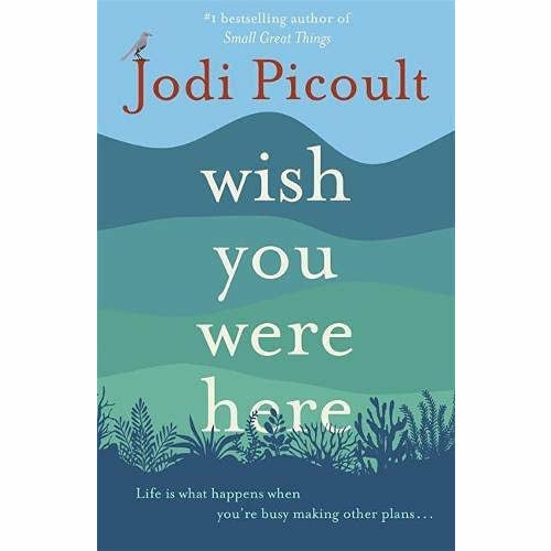 Jodi Picoult Collection 2 Books Set (Wish You Were Here [Hardcover], The Book of Two Ways) - The Book Bundle