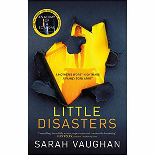 Sarah Vaughan 2 Books Collection (Little Disasters & Anatomy of a Scandal) - The Book Bundle