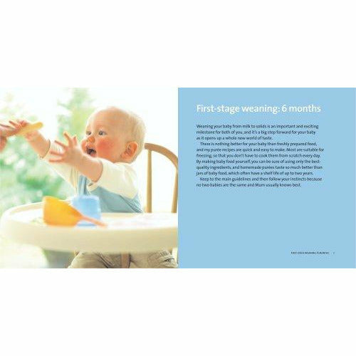 Cover of "Top 100 Baby Purees" hardcover cookbook by Annabel, featuring colorful baby food images and healthy meal ideas.