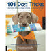 Brain Games For Dogs,Perfect Puppy,101 Dog Tricks 3 books collection Dogs books set - The Book Bundle
