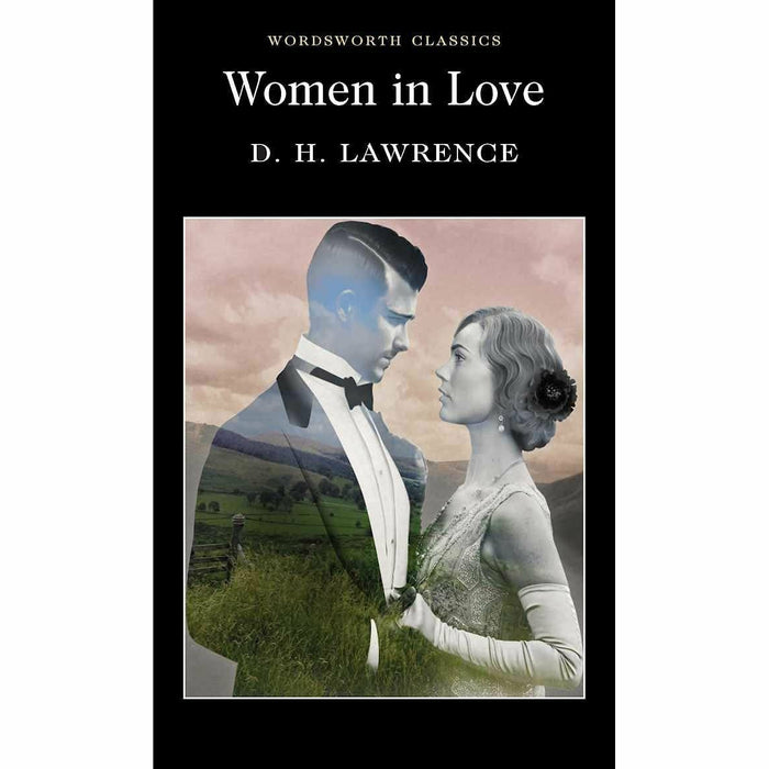 D. H. Lawrence Collection 4 Books Set (Women in Love, The Rainbow, Sons and Lovers, Lady Chatterley's Lover) - The Book Bundle