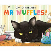 David Wiesner Collection 5  Books Set (Tuesday,Flotsam,Three Pigs,Wuffles,Art) - The Book Bundle