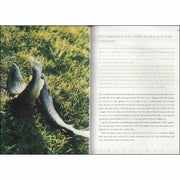 Hardcover copy of The River Cottage Year by Hugh Fearnley-Whittingstall, a non-fiction book about seasonal cooking and sustainable living.