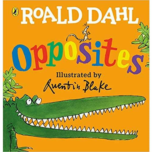Roald Dahl Picture Series 4 Books Collection Set (Colours,123,Opposites,Rhymes) - The Book Bundle