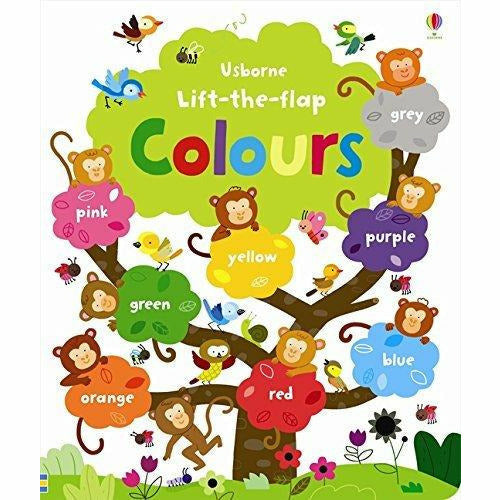 Usborne Lift-The-Flap nonfiction book set by Felicity Brooks featuring four colorful, interactive children's books with flaps and illustrations.