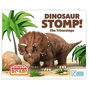 Set of four dinosaur-themed board books from the Dinosaur Roar collection by Peter Curtis, featuring colorful illustrations for children.