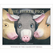 David Wiesner Collection 5  Books Set (Tuesday,Flotsam,Three Pigs,Wuffles,Art) - The Book Bundle