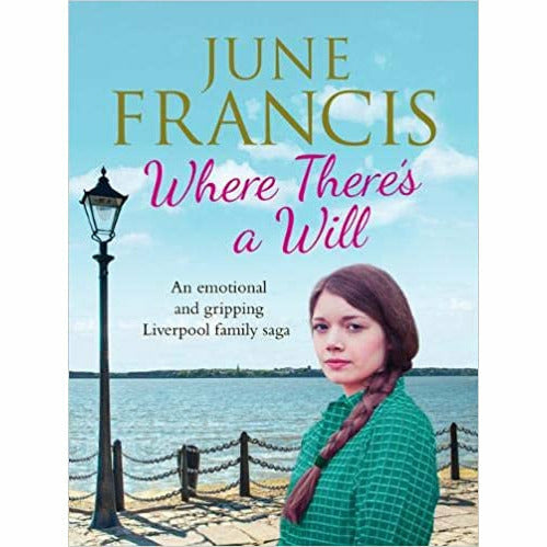 June Francis  4 Books Collection Set (Another Man,Someone,Where There,Shadows) - The Book Bundle