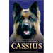 Cassius, the True Story,My Hero Theo,Fabulous Finn 3 Books Collection Set NEW - The Book Bundle